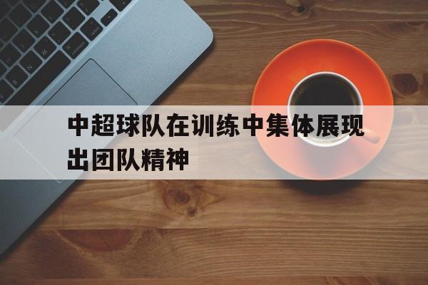 关于中超球队在训练中集体展现出团队精神的信息